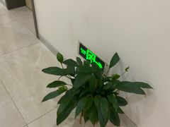 -团圆口腔·种植中心(锦江院区)