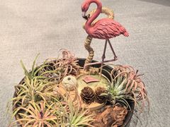 -虹御轩·传承江浙菜(虹桥店)