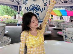 -南京银杏湖乐园