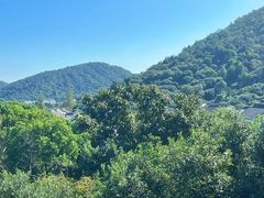-树山生态村