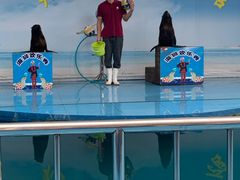 -无锡海洋馆