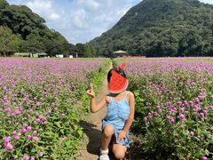 -广州市石门国家森林公园