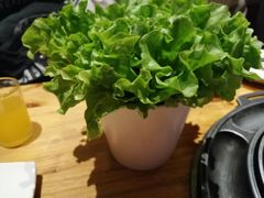 -超级神炭烤肉夜食(芥园西道店)