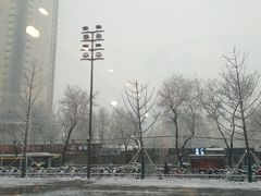 -奈雪的茶(石家庄万象城店)