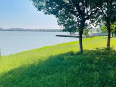 -武清南湖绿博园