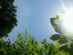 android_upload_pic-西安世博园