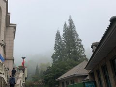 -马克咖啡The Moganshan Lodge