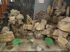-达旺·鸡毛店(巴南万达店)