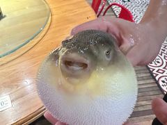 -永安鱼庄·镇江菜(丁卯店)