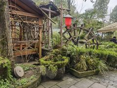 -青城甲(青城山店)