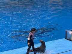 -合肥海洋世界