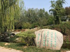 -武清南湖绿博园