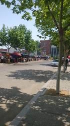 -山东外贸职业学院