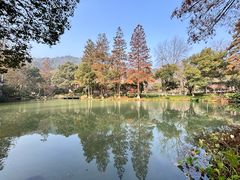 -杭州花家山庄