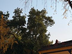 -宫廷糕点铺(人民中路店)