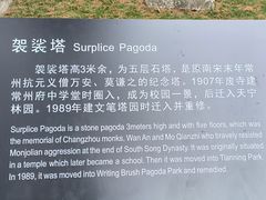 -红梅公园