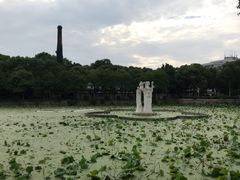 -谷咖啡·鲜花绿植花园餐厅