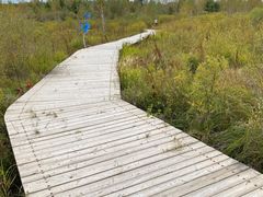 -塞罕坝国家级自然保护区