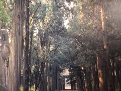 -不二茶空间·养生宴(石景山店)