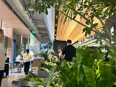 -gaga(深圳福田星河COCO Park店)