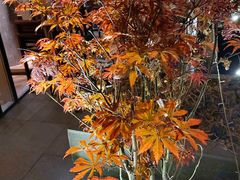 景观位-新元素(三里屯太古里南区)
