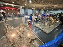 -国家自然博物馆