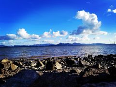 -深圳湾公园(南山区)