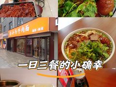 -小马牛肉面·牛骨熬制(南京博物院店)
