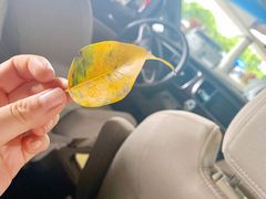 -福州长乐国际机场