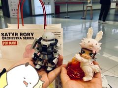 -泡泡玛特POPMART(凯德大峡谷店)