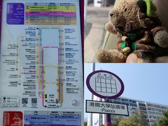 -大埔公路-马料水段香港中文大学(公交站)