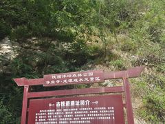 -沣峪森林公园龙潭戏水景区