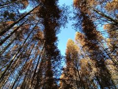 -桤木河湿地公园