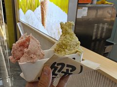 山楂-野人先生现做冰淇淋(西安赛格店)