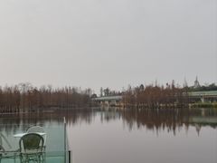 -白鹭湾湿地公园