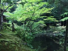 -西芳寺(苔寺)