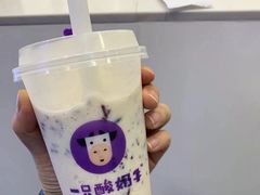 -一只酸奶牛(八一路店)