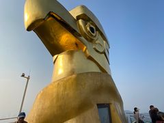 -大金鹰园