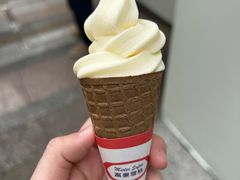 -富豪雪糕车流动点(尖沙咀店)