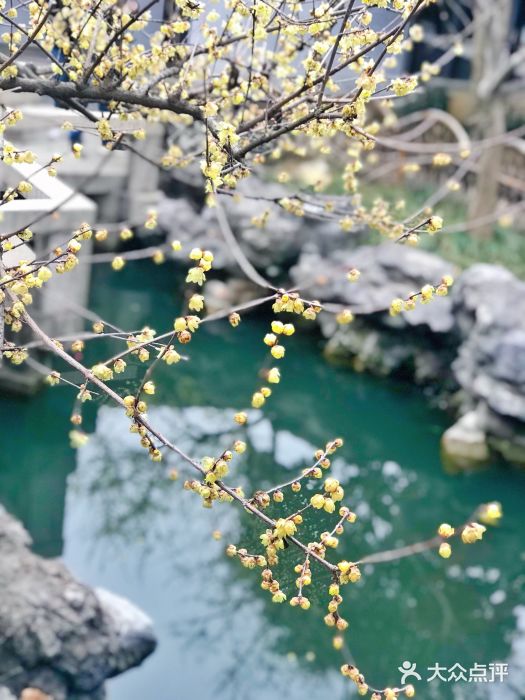 苏州严家花园图片