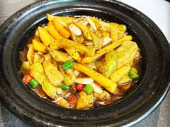 -土桥手掌鸡·26年灌县老味道(都江堰店)