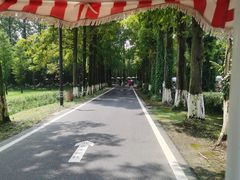 -黄海国家森林公园