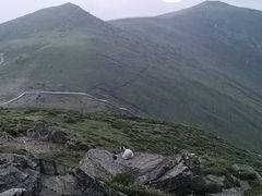 -灵山