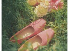 -树夏Tree Summer