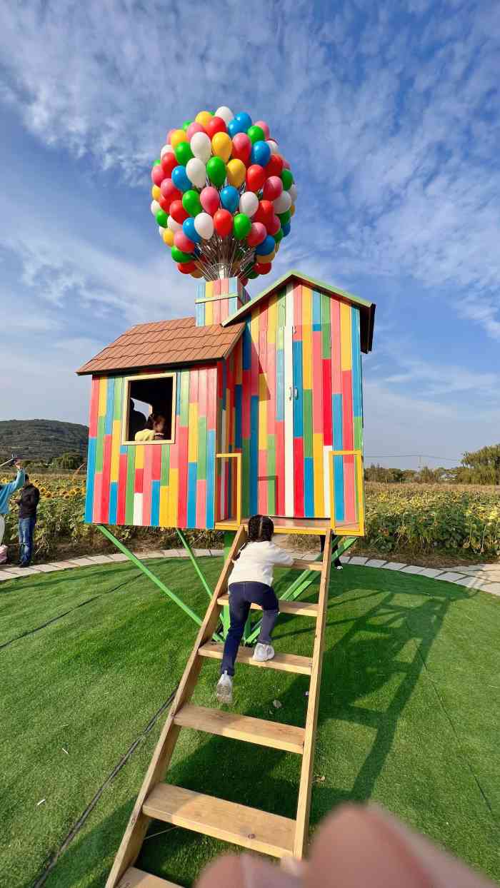 苏州太湖西山岛开心农场-"五一期间公众号有hd,门口排队领票,人山.