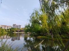 -北湖公园