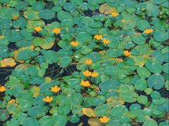 -南京维景国际大酒店(南京博物院店)