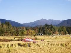 -塔川景区