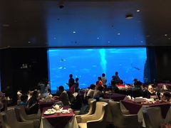 -雨林餐厅(长隆海洋王国店)