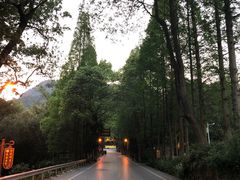 -峨眉山报国寺